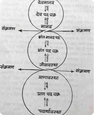 मध्यस्थ दर्शन